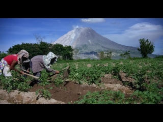 into the hell (2016) werner herzog (documentary)