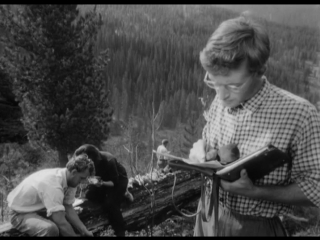 unsent letter (1959)